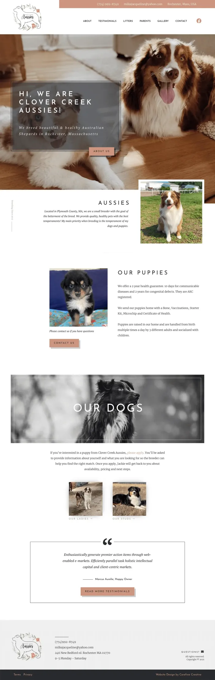 Clover Creek Aussies website