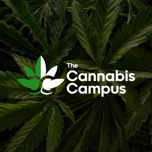 Cannabis-Campus-Website-Thumbnail