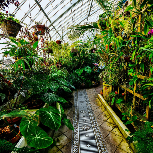 Conservatory-of-Flowers-Pathway