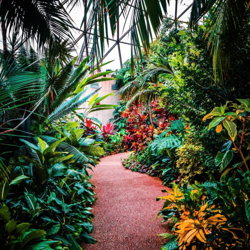 Greater-Des-Moines-Botanical-Gardens-Interior