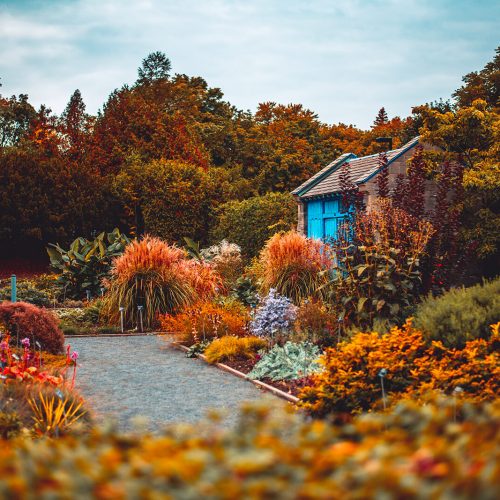 Montreal-Botanical-Garden-Blue-Shed-With-Garden