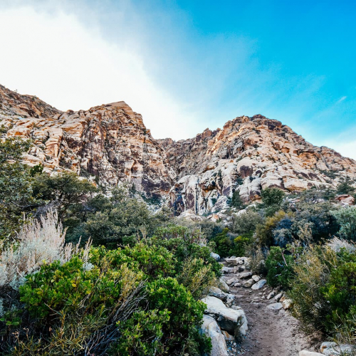 Red-Rock-Canyon-Hike