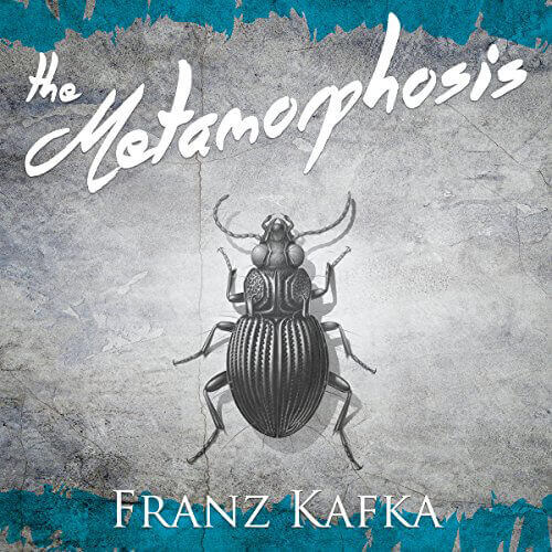 The-Metamorphosis