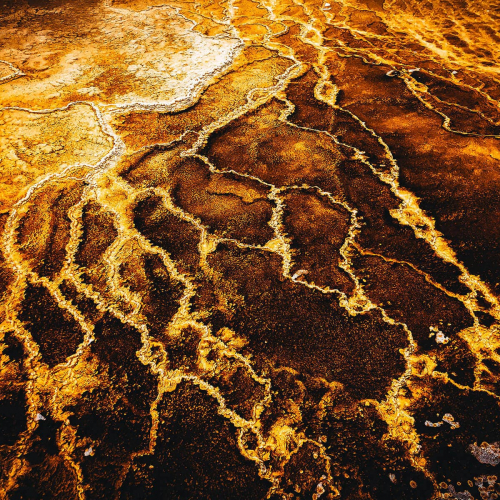 Yellowstone-Abstract-Orange