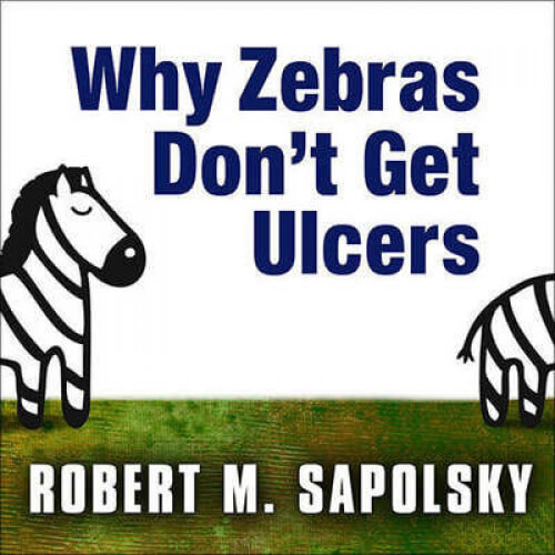 Zebras-Ulcers